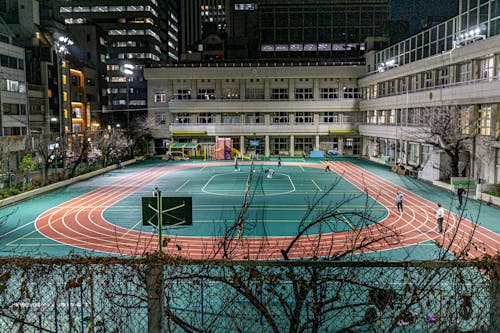 们指向